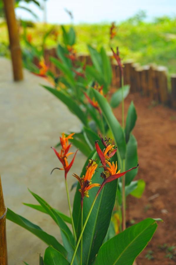 Pura Vida Varkala Hotell Eksteriør bilde